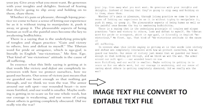 convert audio, video, image text, pdf to text all language on 1 hour