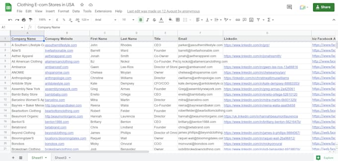 find ecommerce leads and do perfect data entry