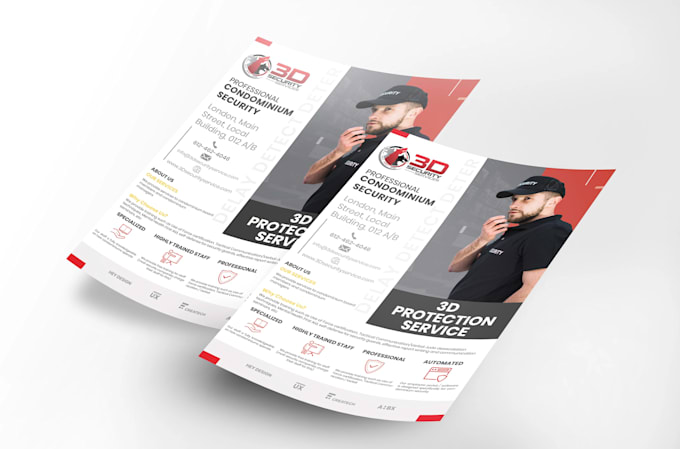 design a professional flyer or brochure