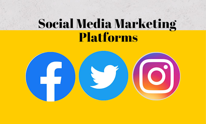 be your social media marketing manager for facebook twitter and instagram