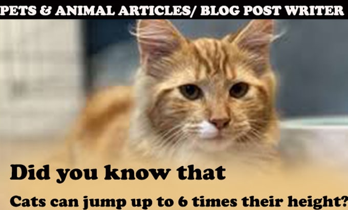 write well researched SEO animal, dog and pet content