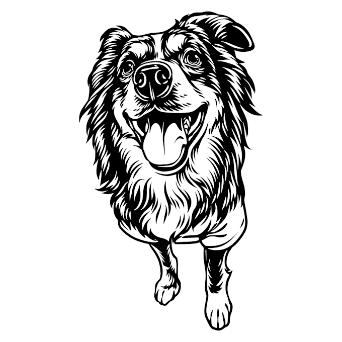 draw your pet in black and white line art illustration