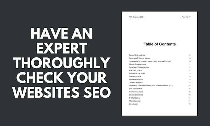 do a professional and comprehensive SEO audit including manual website analysis