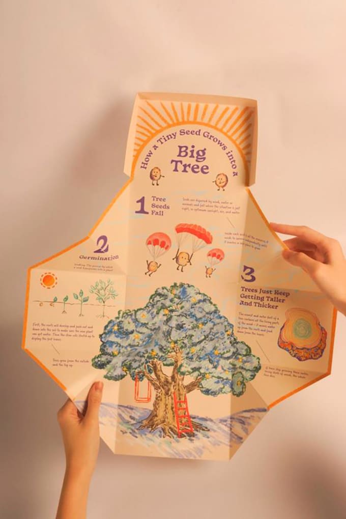 Create unique packaging and box design by Bracerubte Fiverr