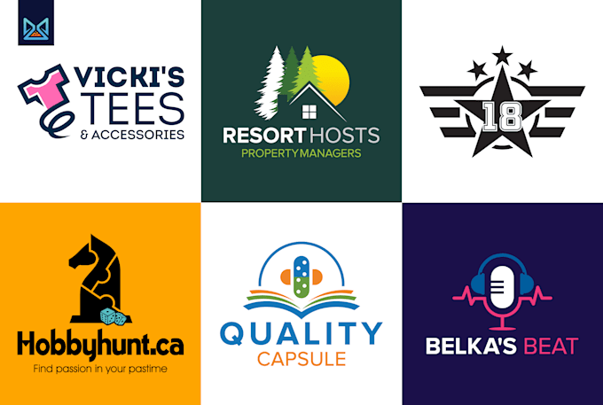 do a professional and custom logo design
