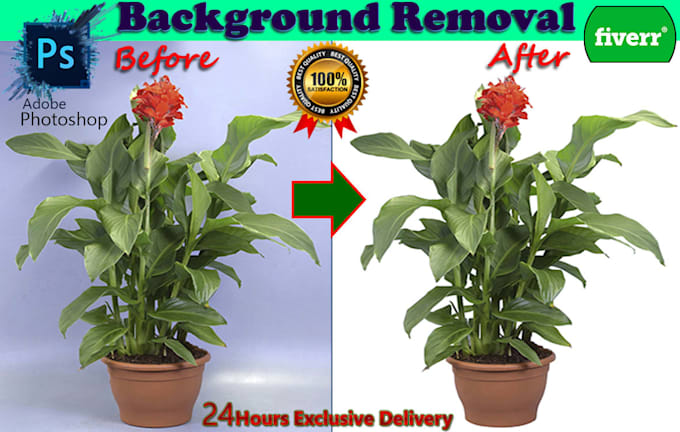 do replace background image cutout and object remove