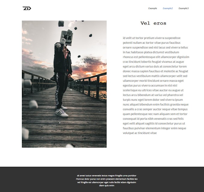 Create a page in html, css, js by Marchewka709 | Fiverr