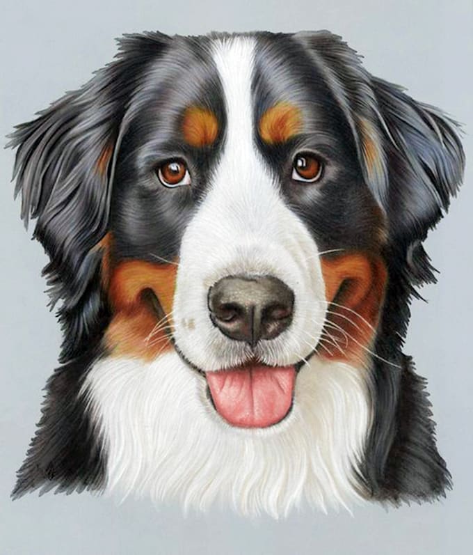Draw your pets portrait into cartoon style by Goffrborzi Fiverr