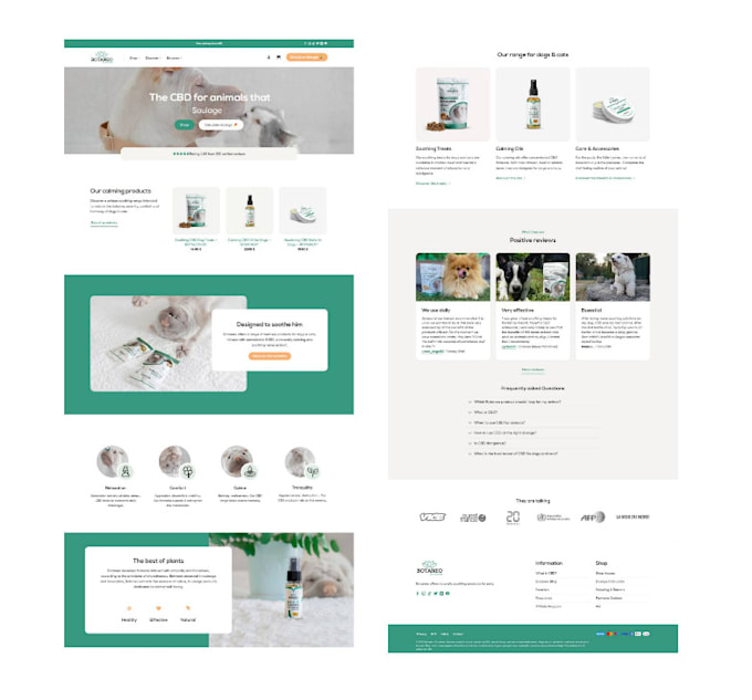 do wordpress website development and web design