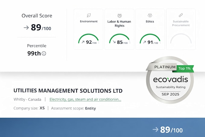 improve your ecovadis score and sustainability rating fast