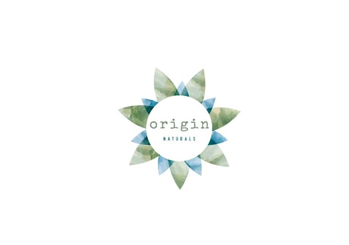 design dynamic perfect minimal origin natural logo in 1 day