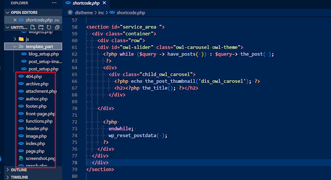 develop custom wordpress theme of your requirements
