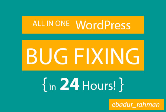 fix any wordpress bug in 24 hours