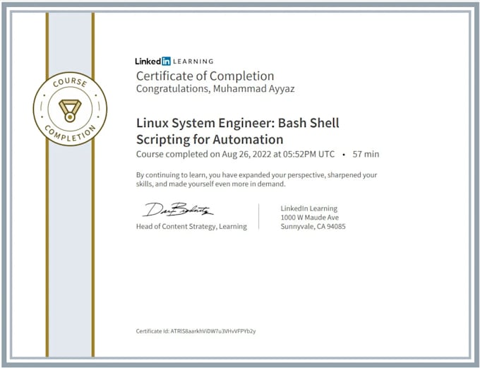 do scripting in bash, shell, python for linux
