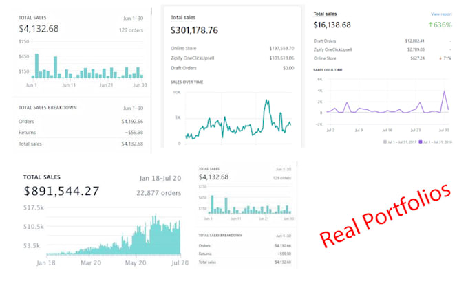 build shopify dropshipping store or shopify dropshipping website
