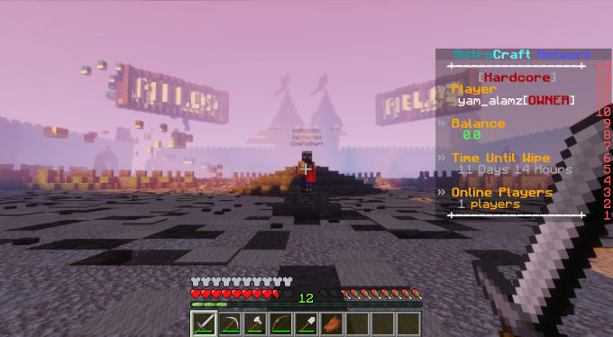 create-a-minecraft-java-server-by-mikethedevpr-fiverr