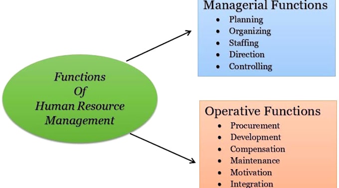 be your human resource HR consultant and manager