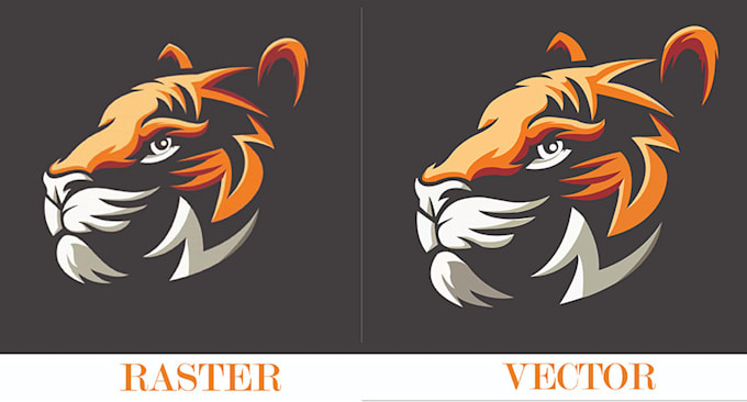 convert raster to vector, vector tracing within 12hrs