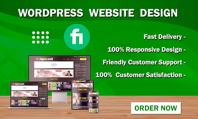 build professional wordpress website design or blog