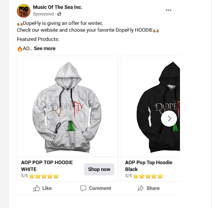 set up and manage your meta ads, facebook and instagram ads campaign