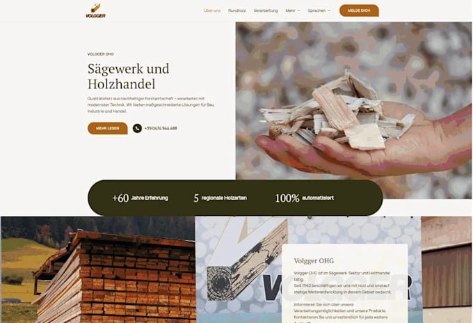 develop any type of professional wordpress website you need