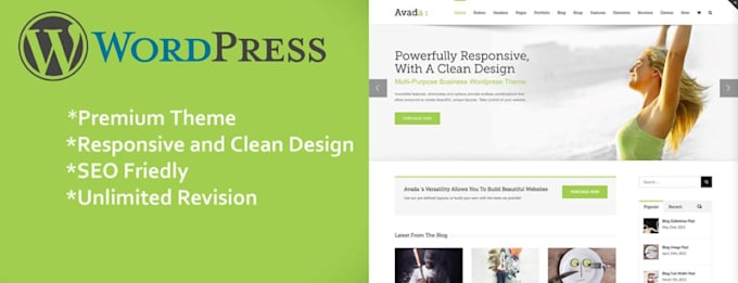 create professional wordpress website