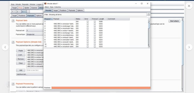do advance penetration on web site,pen test server and vulnerability assessment