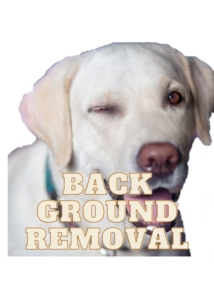 removing mylanviewer evaluation removing mylanviewer evaluation