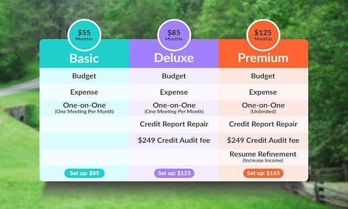 design PSD pricing table and comparison chart professionally