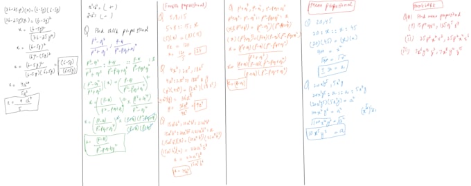 provide online math and statistics tutoring