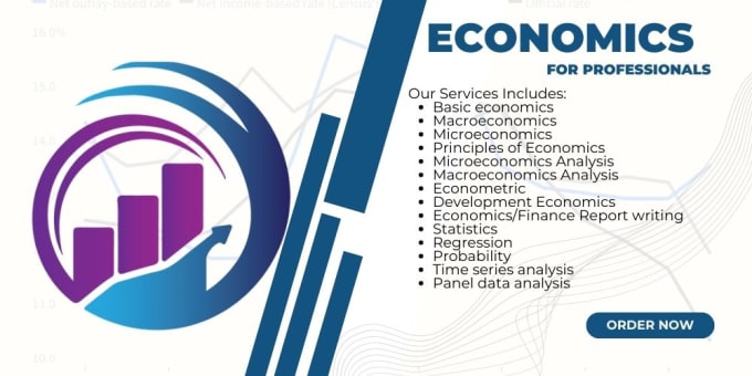 microeconomics project report