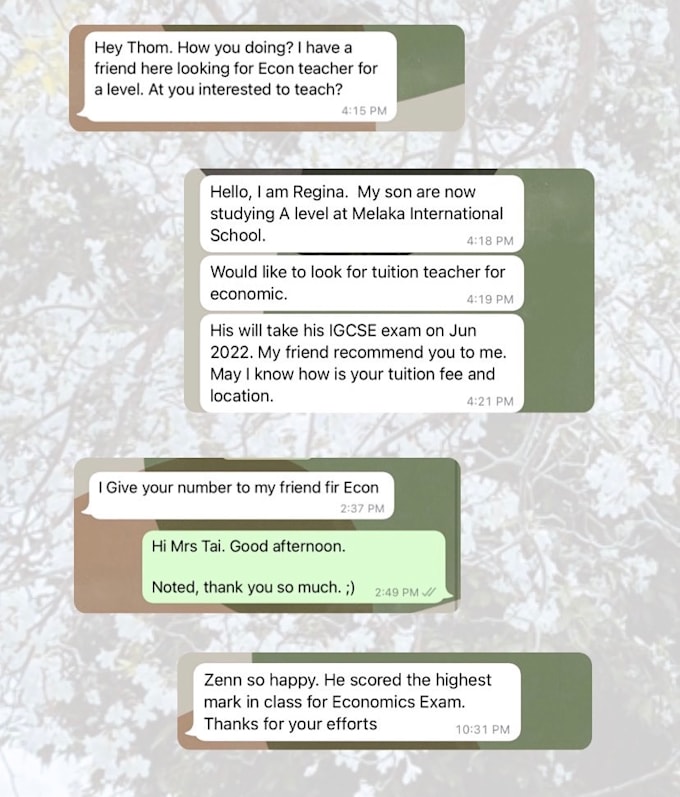 teach and assist you in o a level igcse and various level economics learning