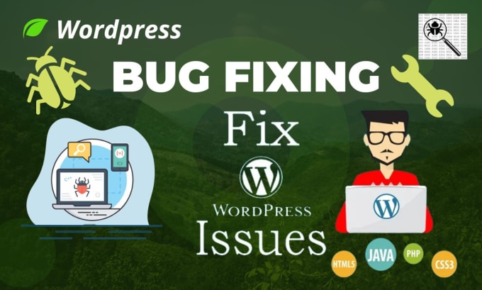 fix or repair your wordpress errors, bugs, issues or problems