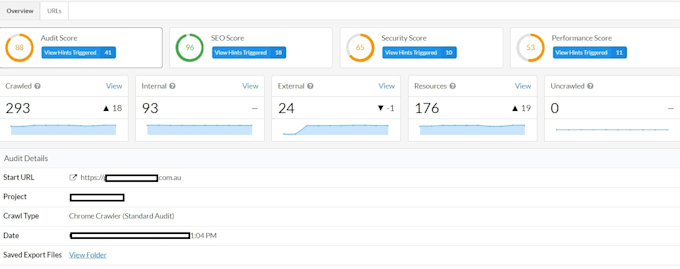 do a professional technical SEO audit of your website