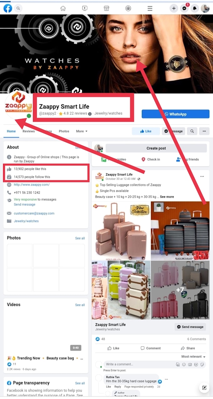 create professional facebook business page and properly setup