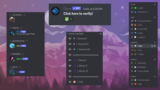 Create a custom discord server with a clean and professional appearance ...