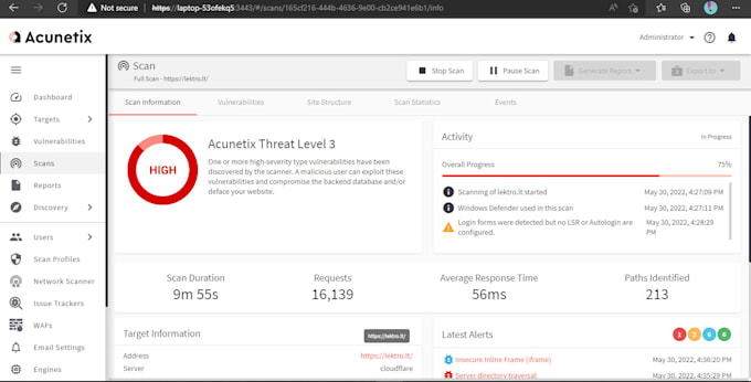 do vulnerability, scanning, penetration, security, and professional report