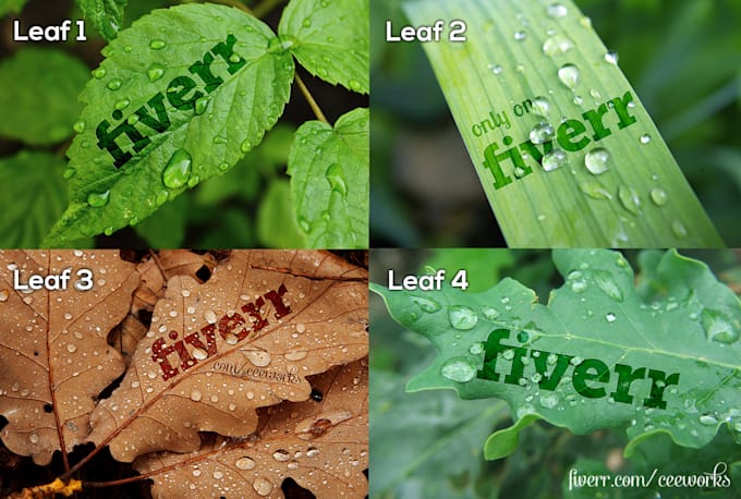 put your message or logo on a plant leaf