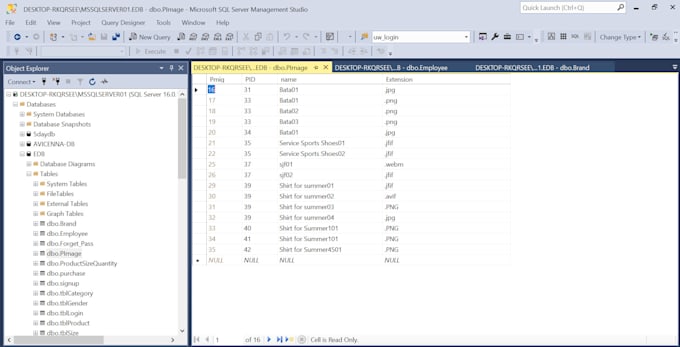 create a windows forms app in c sharp
