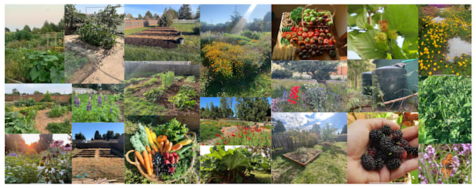 consult on your garden or land project