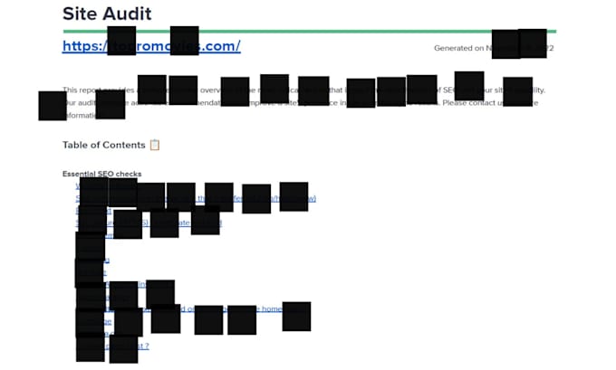 audit your website SEO and provide an actionable report
