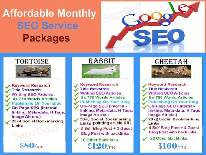 offer affordable monthly SEO services