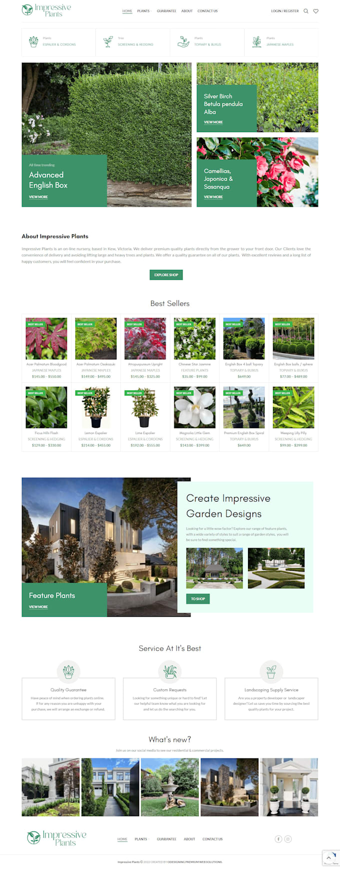 develop a responsive professional wordpress website design for your business