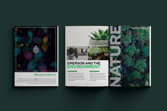 create professional brochure, booklet, catalog design