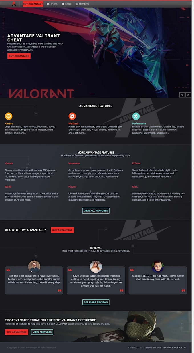 design, redesign, clone, duplicate, build, edit, fix wordpress website