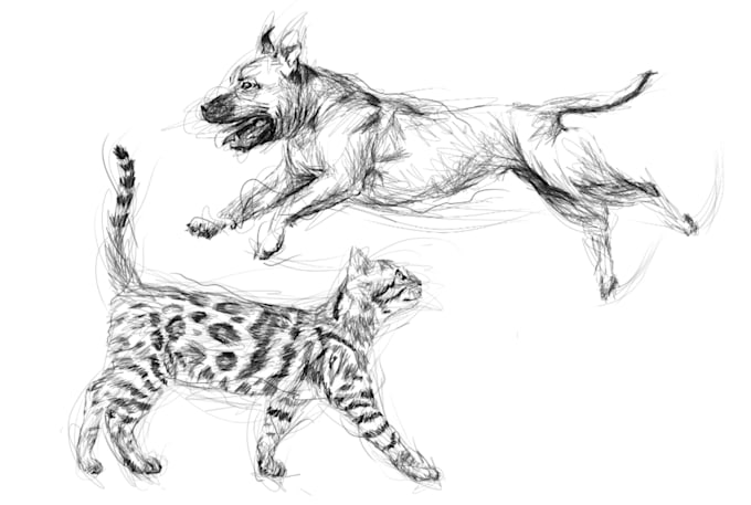 draw scribble sketches for cat dog or other pet