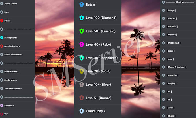 create a professional discord gaming community server