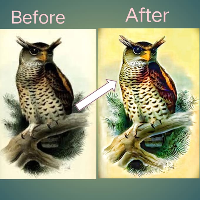 do remove background and photos editing and color change any