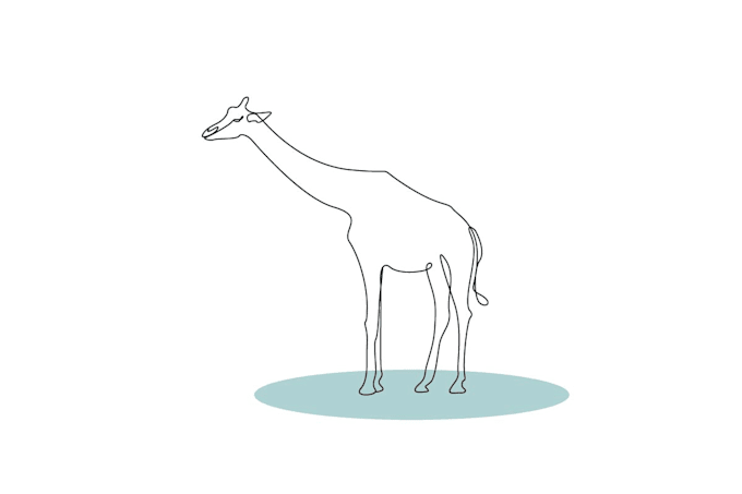 draw  animal line art