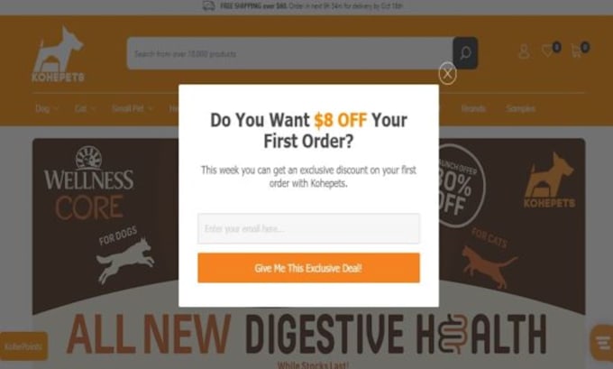 setup wordpress mailchimp automation, campaign for email marketing